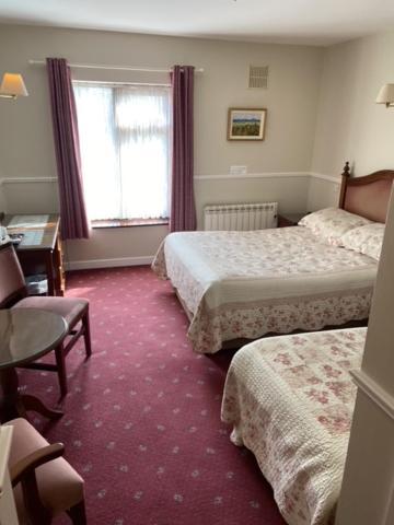 Hotel Monaghans Harbour Naas